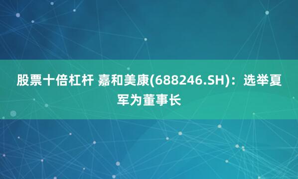 股票十倍杠杆 嘉和美康(688246.SH)：选举夏军为董事长