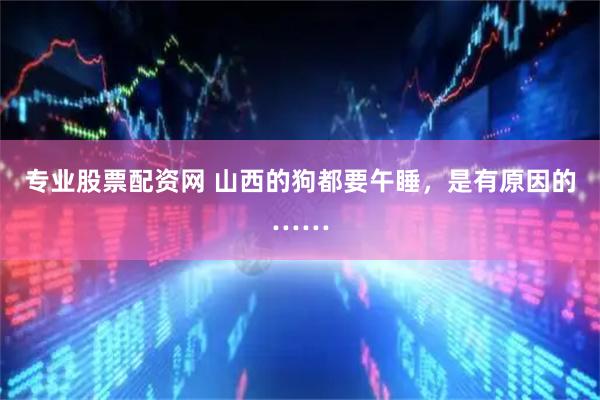 专业股票配资网 山西的狗都要午睡，是有原因的……